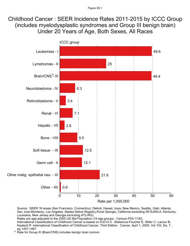 CSR Figure 29.1: SEER Incidence Rates by Site