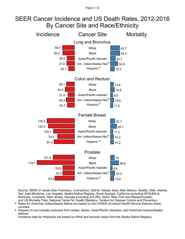 CSR Figure 1.12: SEER Cancer Incidence and US Death Rates By Cancer Site and Race/Ethnicity