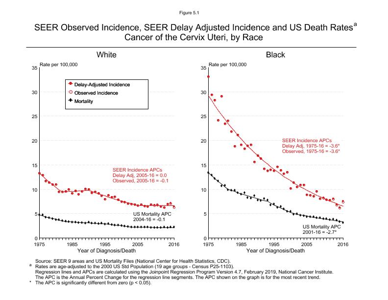 CSR Figure 5.1: SEER Incidence, Delay Adjusted Incidence and US Death Rates by Race