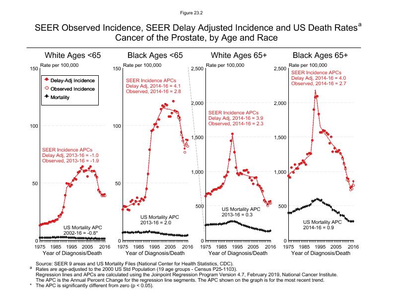 CSR Figure 23.2: SEER Incidence, Delay Adjusted Incidence and US Death Rates by Age and Race