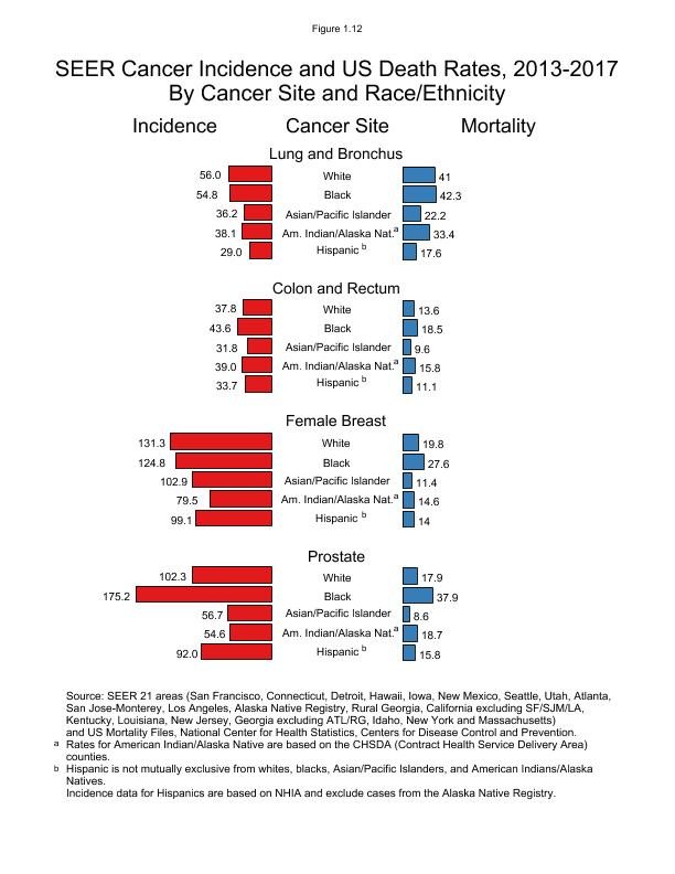 CSR Figure 1.12: SEER Cancer Incidence and US Death Rates By Cancer Site and Race/Ethnicity