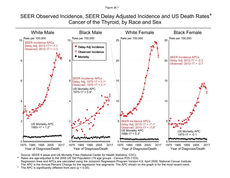 CSR Figure 26.1: SEER Incidence, Delay Adjusted Incidence and US Death Rates by Race and Sex