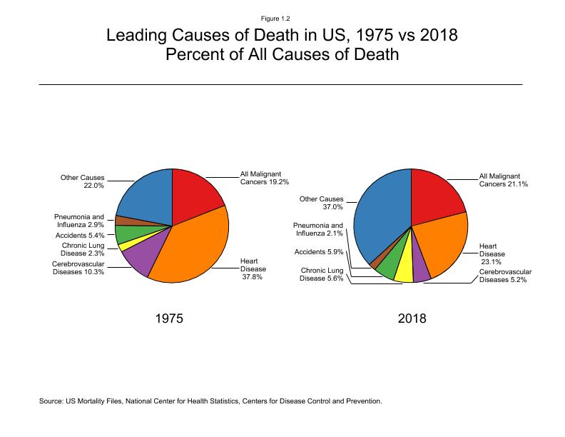 CSR Figure 1.2: Leading Causes of Death in US