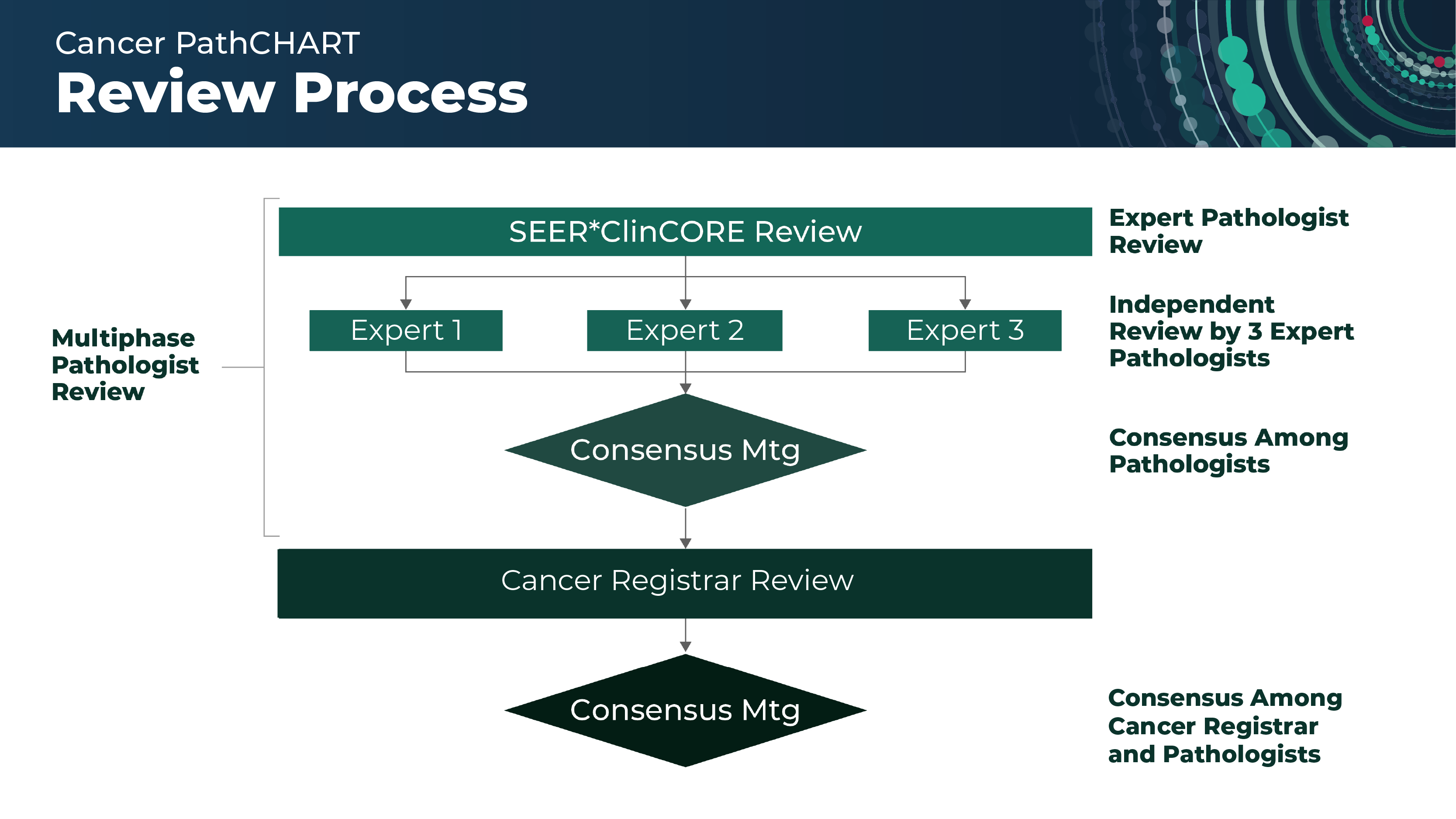 review process