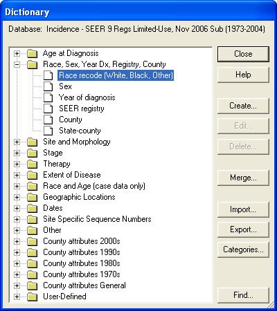 Modifying Variables in the Dictionary Dialog