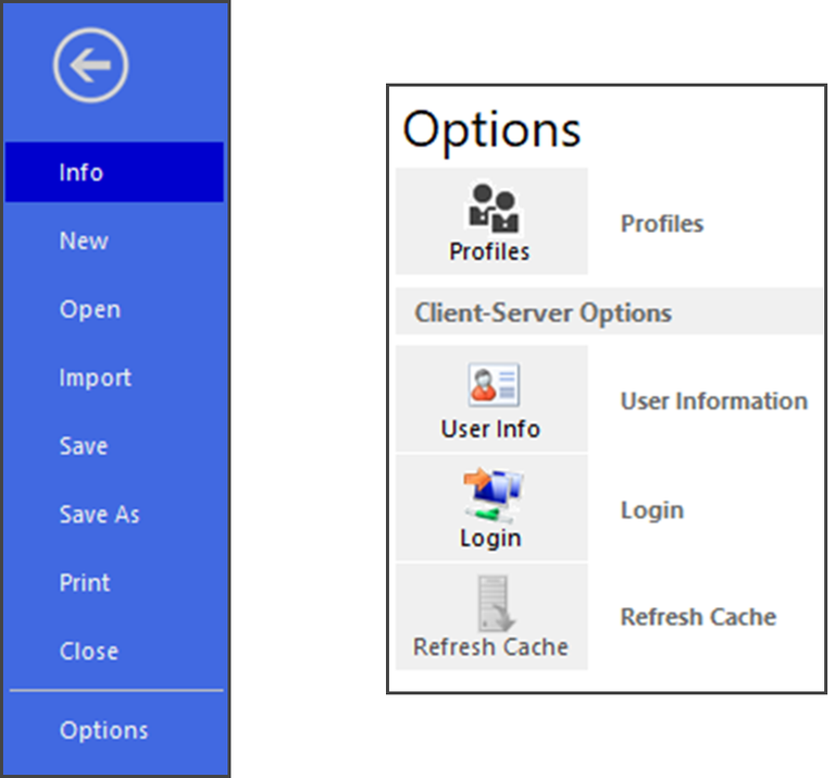 File Tab and Options Controls