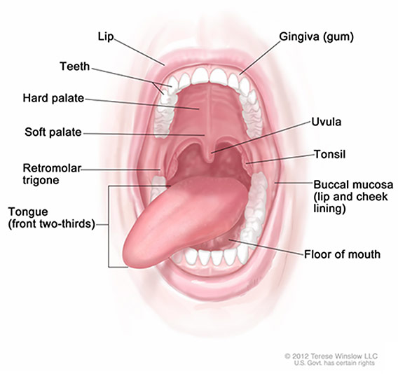 Tongue Analysis Chart