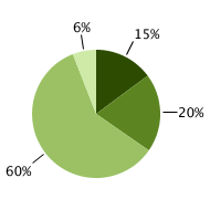 15% localized; 20% regional; 60% distant; 6% unknown